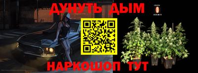 гидропоника Азнакаево