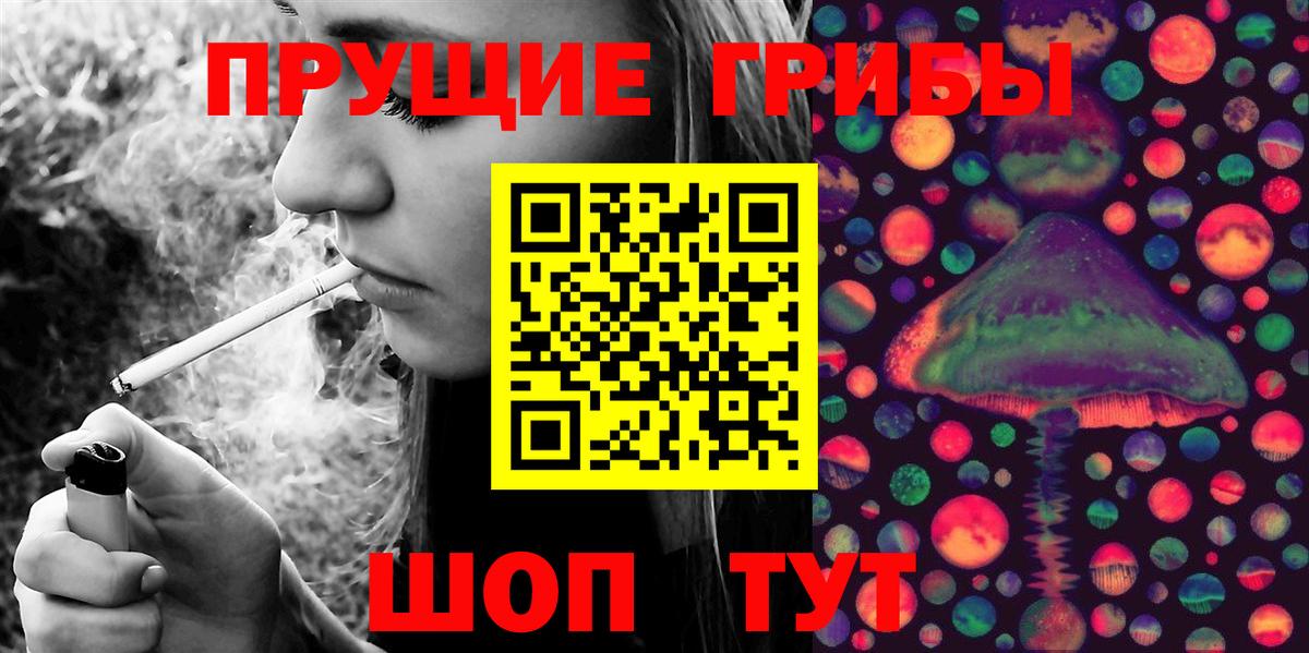 Псилоцибиновые грибы прущие грибы  Галлюциногенные грибы Psilocybine cubensis  Алейск  Вход с VPN 