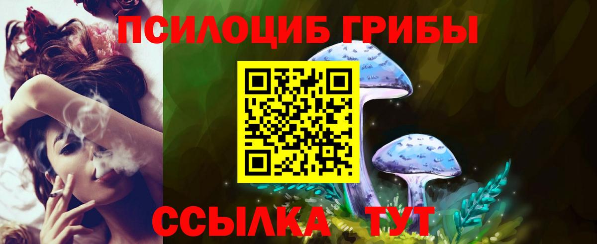Псилоцибиновые грибы Magic Shrooms Алейск
